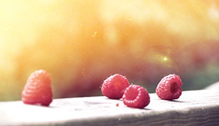 短信验证码轰炸平台